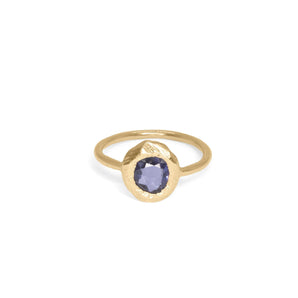 18K Freeform Small Solitaire Ring in Purple-Blue Sapphire Rings Page Sargisson 