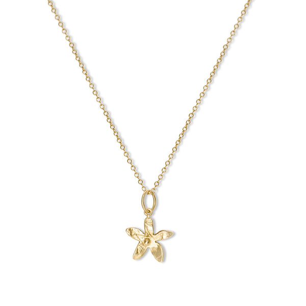 1/8 CT. T.W. Diamond Double Butterfly Necklace in Sterling Silver with 18K  Gold Plate | Zales Outlet